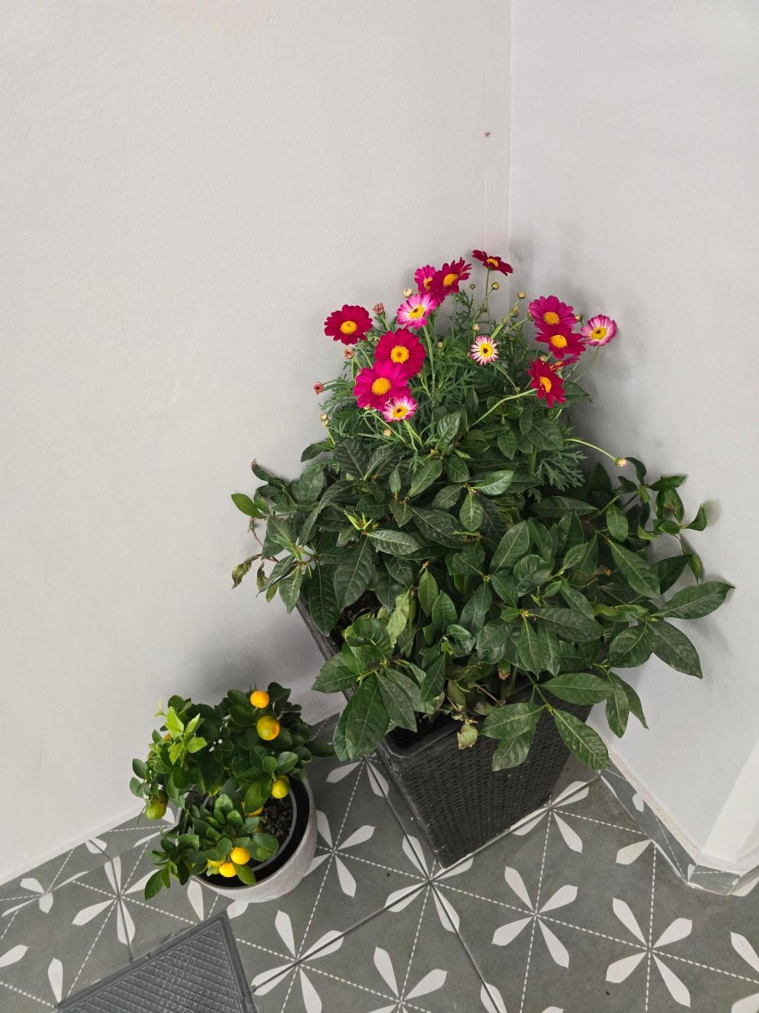 Glyfada'S Cosy Apartments Athena Bagian luar foto