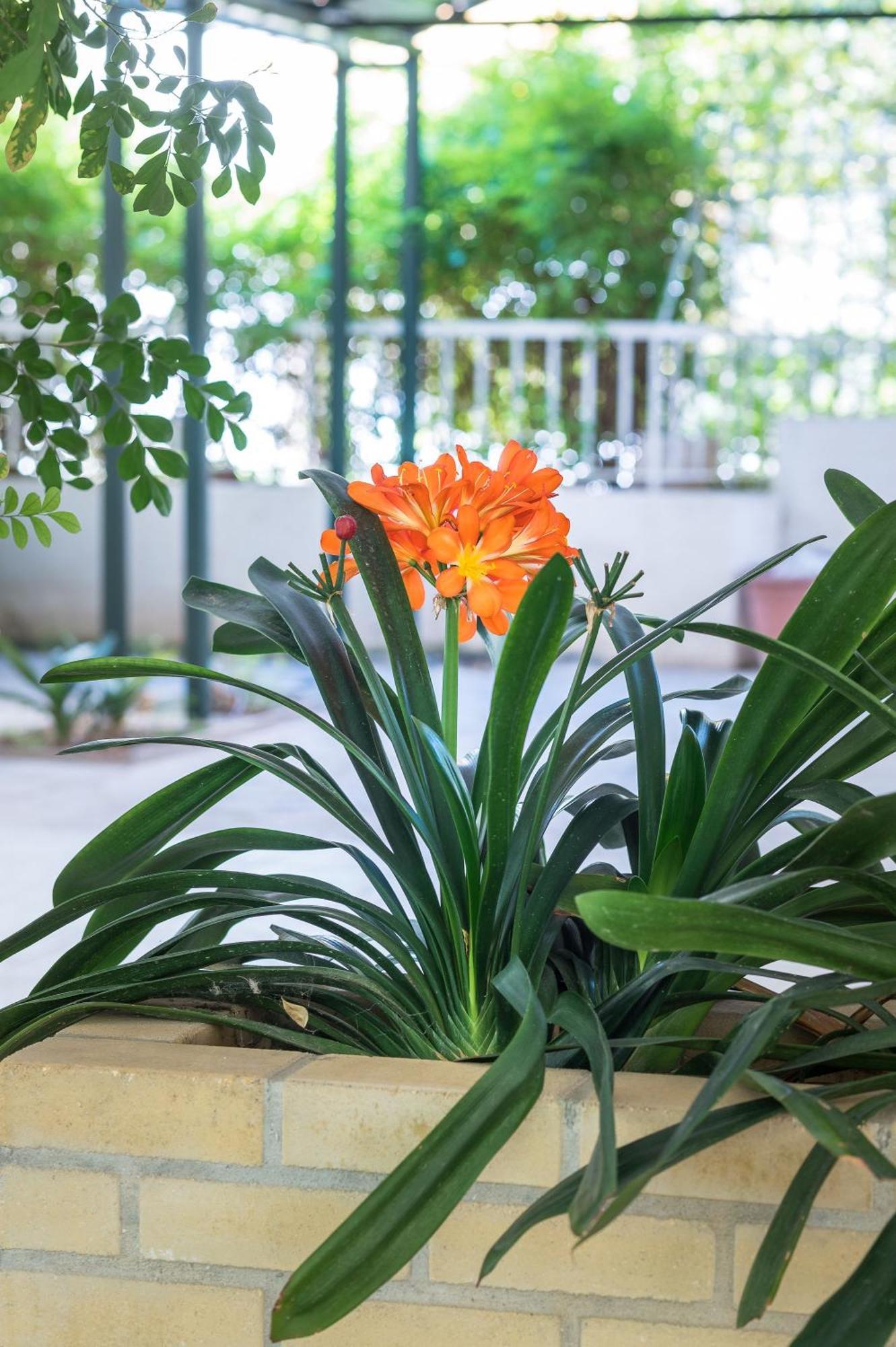Glyfada'S Cosy Apartments Athena Bagian luar foto